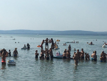 380975759_305133142216350_147894015260456417_n-1