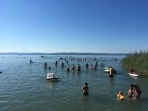 380990161_995805028391962_3461305017793157345_n