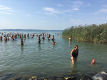 381022103_1526201811452342_7872385621172127622_n